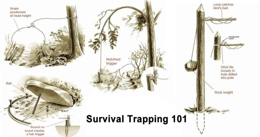 survival-trapping-101.jpg
