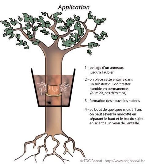 survivala 1 (190).jpg