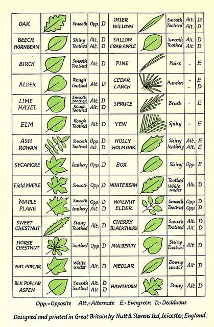 survivala 1 (223).jpg