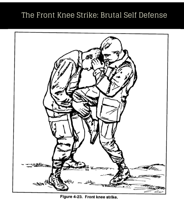 The Front Knee Stikes- Self Defense Tips- These self defense moves look like they were taken f...png
