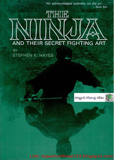 THE NINJA.png