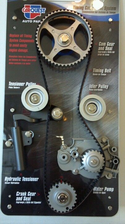 Timing belt assembly. This is what a timing belt looks like. Also shown is tensioner assembly,...jpg