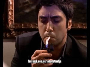 tumblr_ncj0b3yfBO1ran9aeo3_400.gif