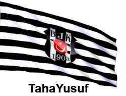 Tys23.gif