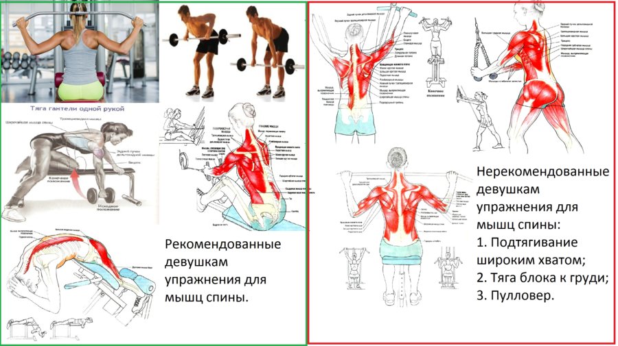 Упражнения-для-спины-рекомендованые-девушкам..jpg