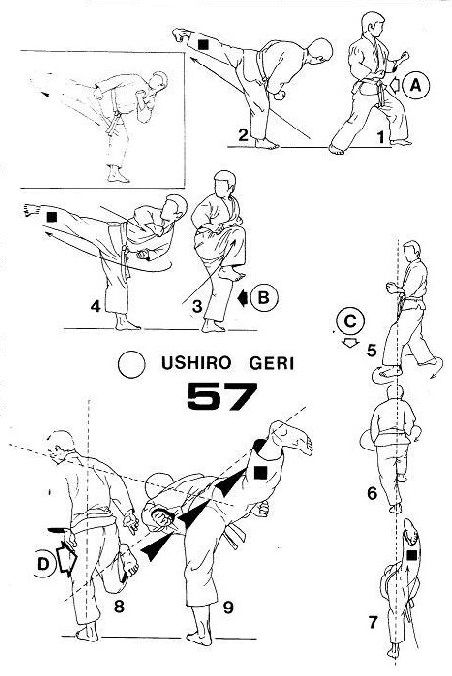 [ Ushiro Geri ] Roland Habersetzer -Le Karate- .jpg