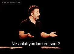 v.gif