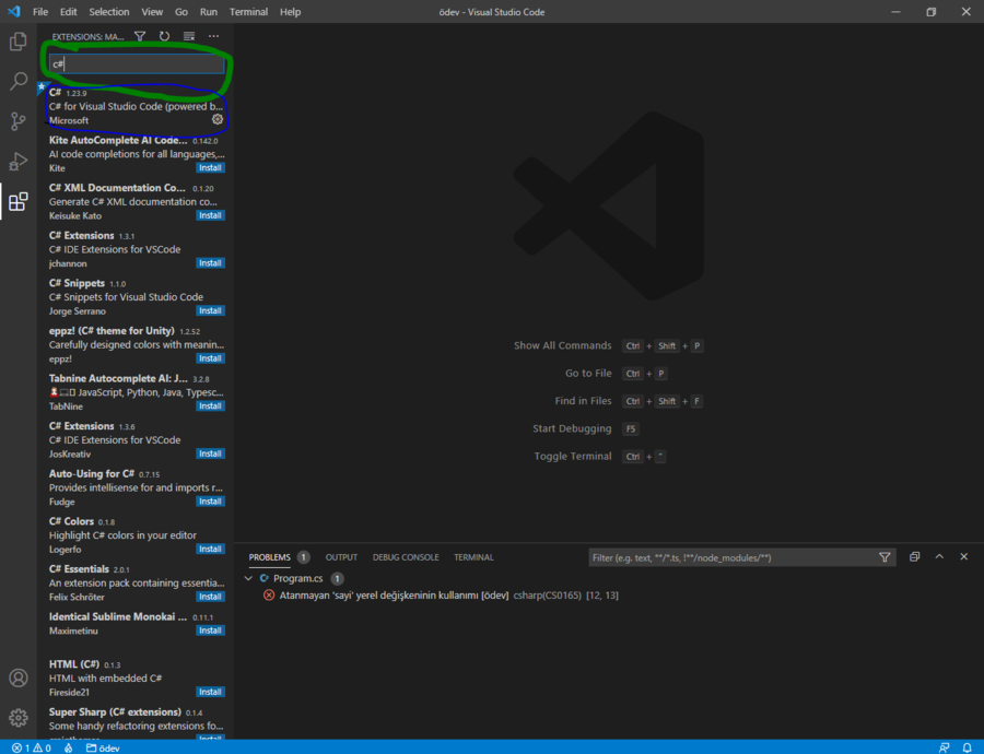 vscode5.PNG