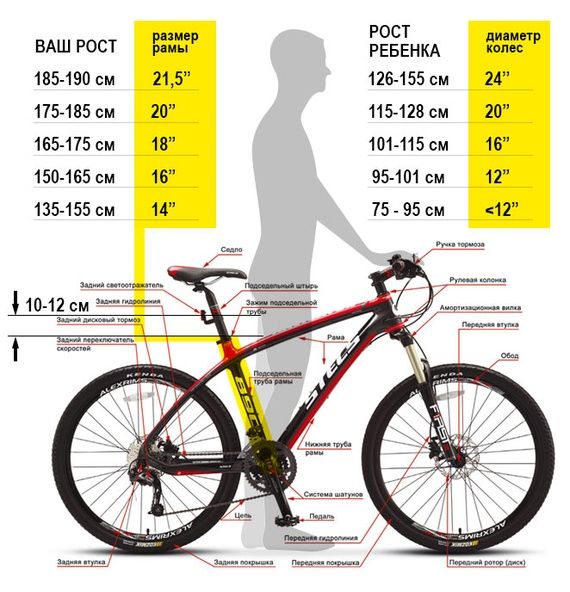Выбор размера рамы велосипеда по росту.jpg
