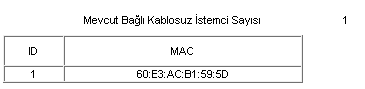 wifi kırıcı adam.png