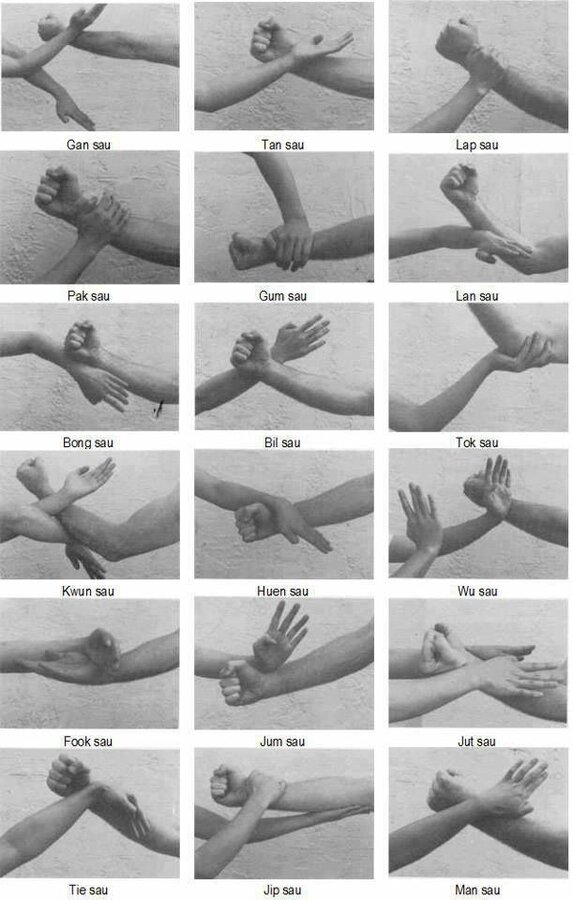 ~Wing Chun Gung Fu Hands~.jpg