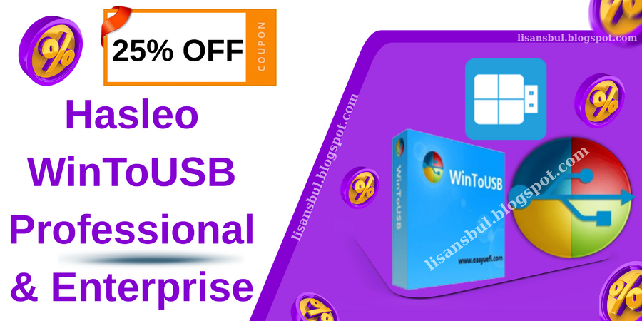 WinToUSB-Professional-Enterprise.png