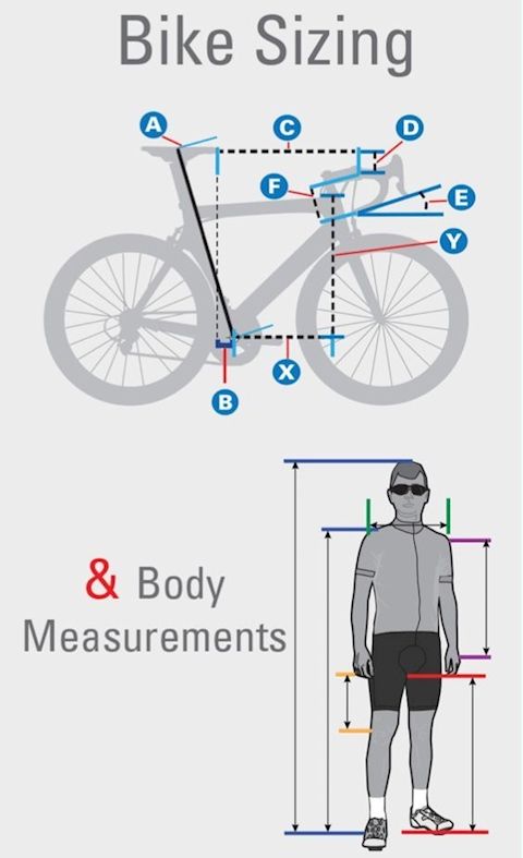 Your Bike Size.jpg