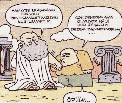 zxcvbnm%C3%B6.jpg