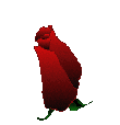 avatar_1126869499.gif