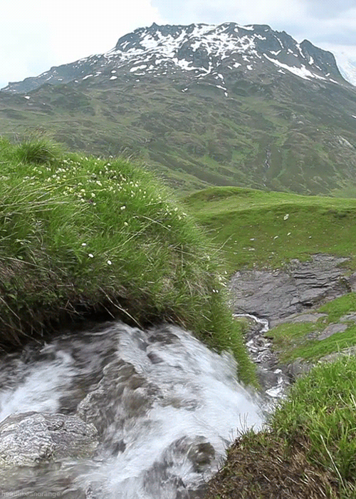 tumblr_me02hqSo8F1r4zr2vo1_r3_500.gif