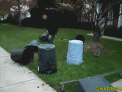 hIwfG1x.gif