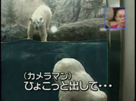 ojDggUx.gif