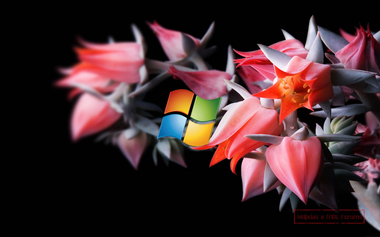 712863653-Windows8-wallpaper.jpg