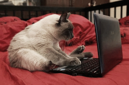 7f9fa889a142bbabb9587a9aa9cae386.gif