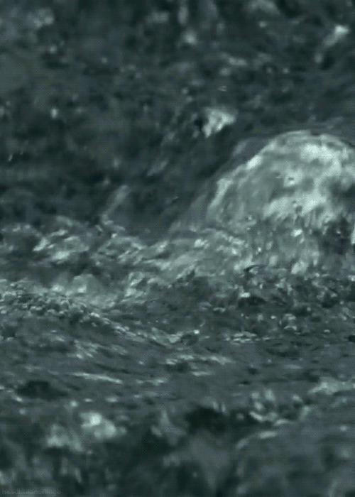 tumblr_mc08ctGXU11r4zr2vo1_500.gif