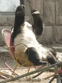 rKcCcAq.gif