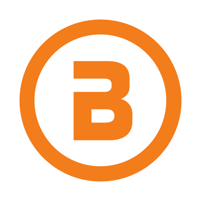 projectborealis.com