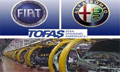 tofas_b.jpg