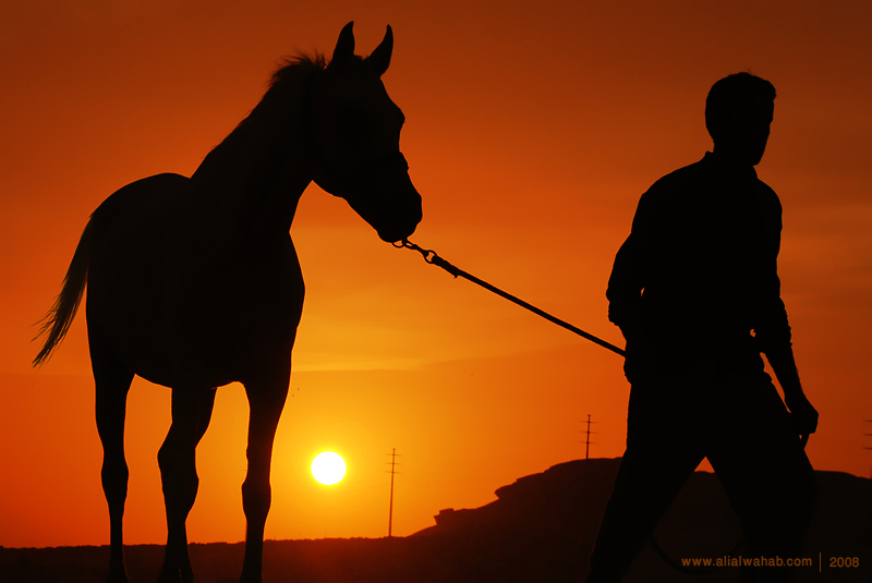 Horse_and_man_by_alwahab.jpg