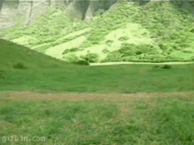 Hg3CzkT.gif
