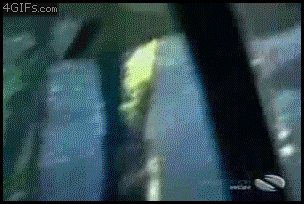 wAmdDE3.gif