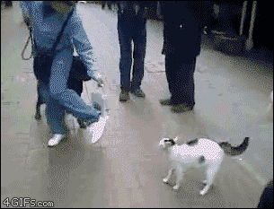 tumblr_m5lkyiRxKt1qjtq3eo1_400.gif