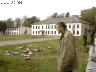 Troll-provokes-fight-karma-kicked.gif