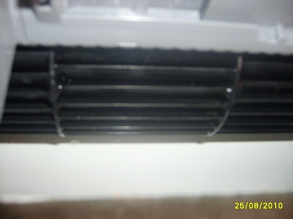 S6001624.jpg