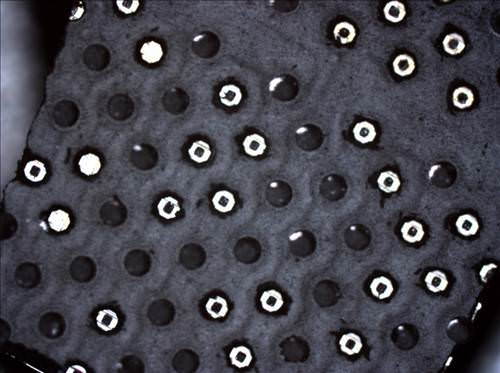 im071024x765_d.jpg