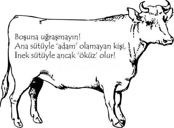 U083w.jpg