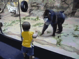 qkh5M.gif