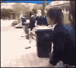 0T8oQ.gif