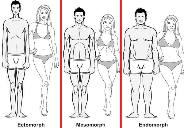 body-types.jpg