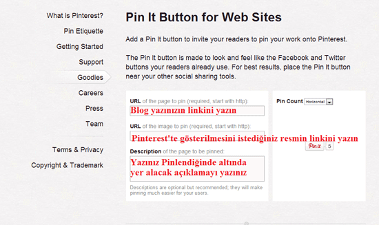 pinterest4.gif