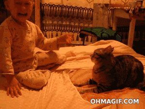 9XEp7pO.gif