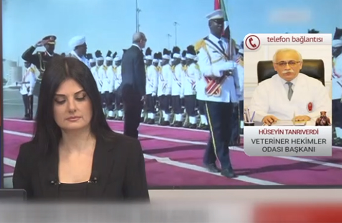 tele1.com.tr