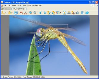 xnview2.jpg