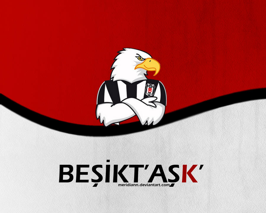 besiktas_by_meridiann-d50g5ah.jpg