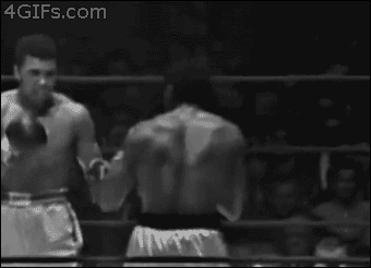 tI524.gif