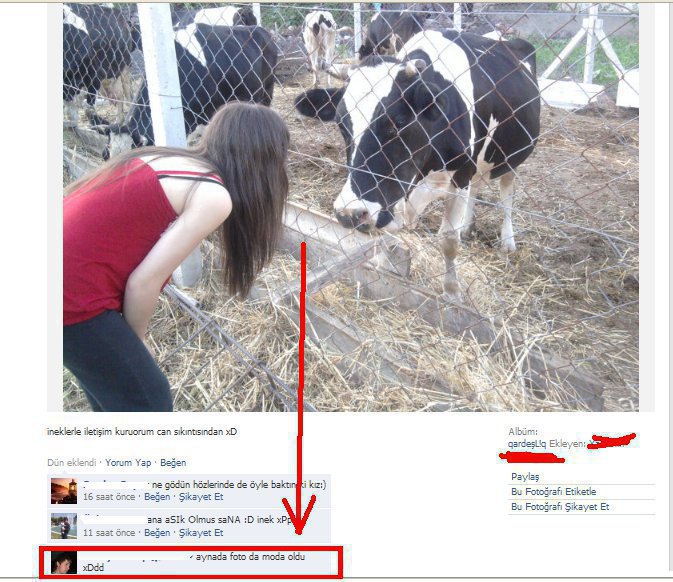sZklZ.jpg