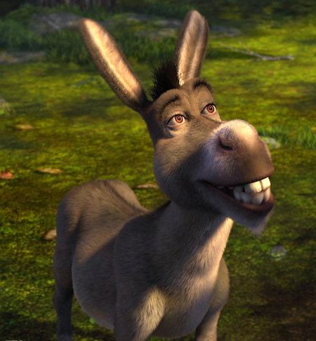 donkey5.jpg