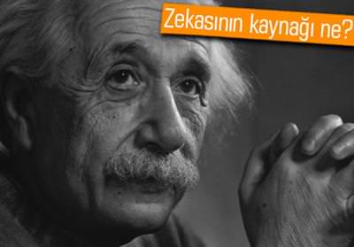 albert-einstein-beyin-490784757399400279.jpg