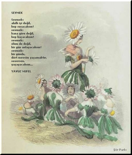 kartsiir17.jpg