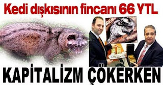 kedikahve.jpg
